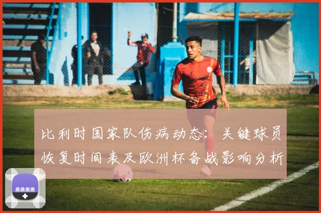比利时国家队伤病动态:关键球员恢复时间表及欧洲杯备战影响分析