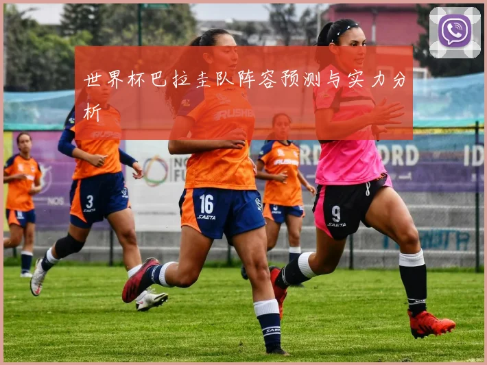 世界杯巴拉圭队阵容预测与实力分析
